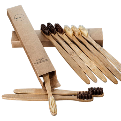 Brosse à dent en Bambou - Lot de 10