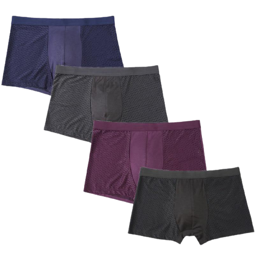 Lot de 4 Caleçons en Bambou