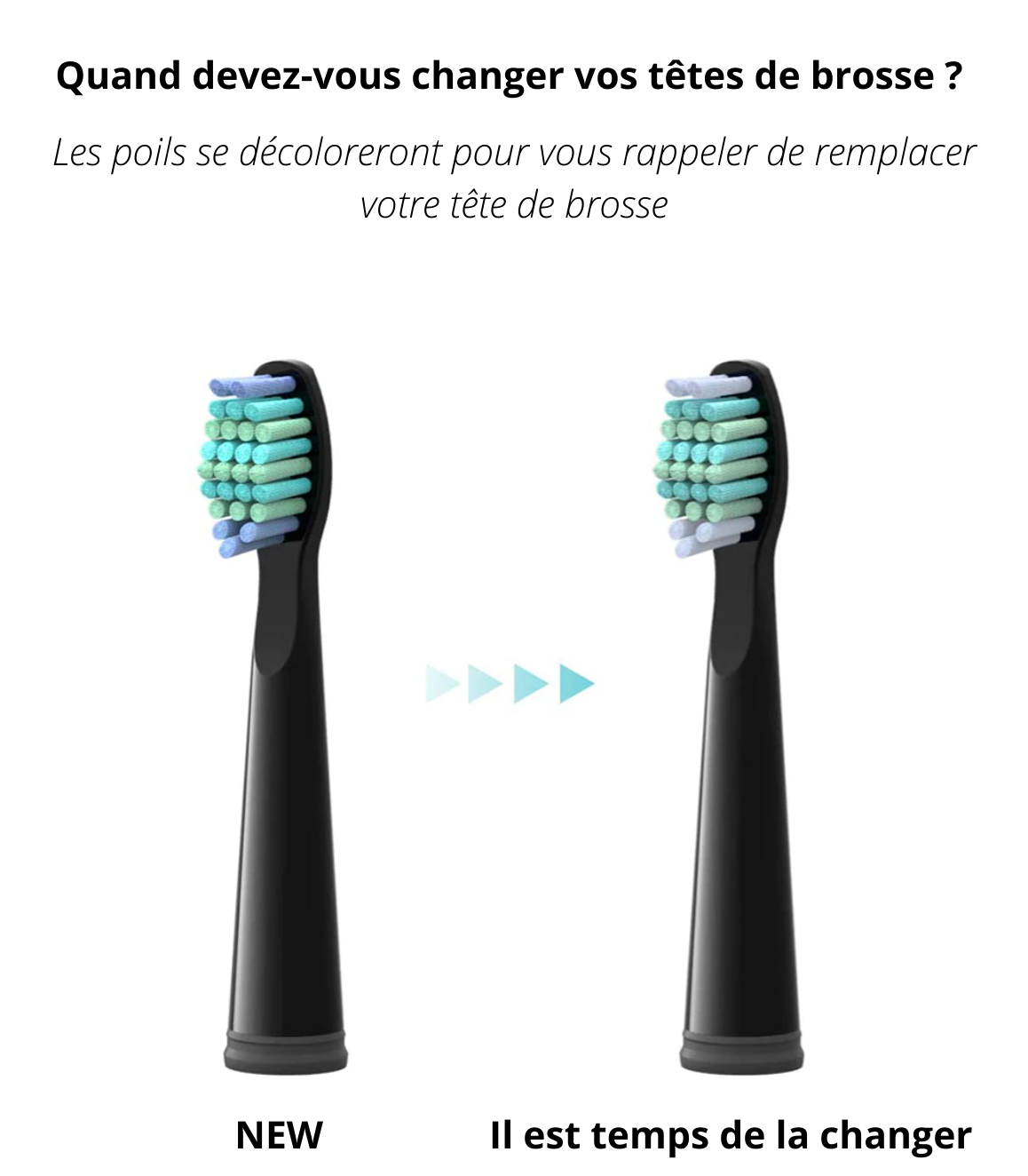Brosse à dents électrique sonique